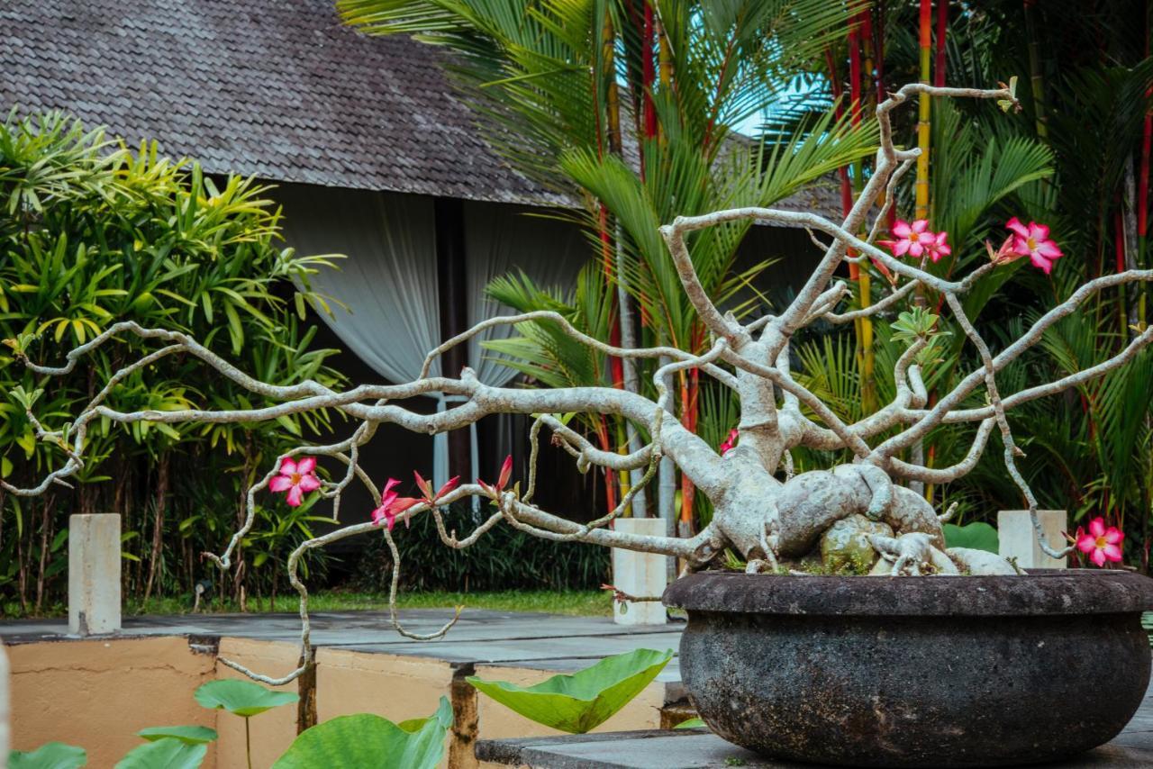 Sunset Hill Bed & Breakfast Ubud  Exterior photo
